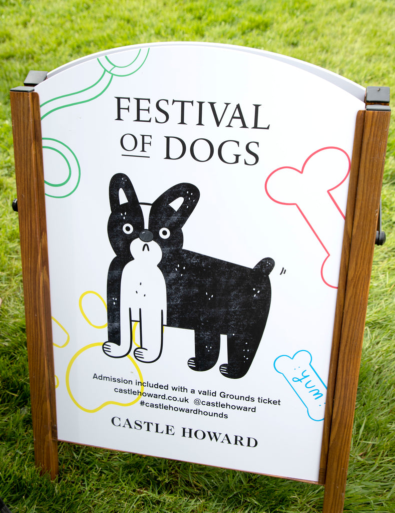 Festival of Dogs
